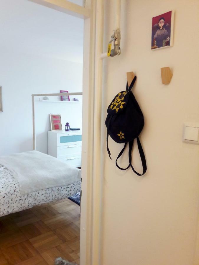 Brand New Cosy Apartment Zagreb Exteriör bild